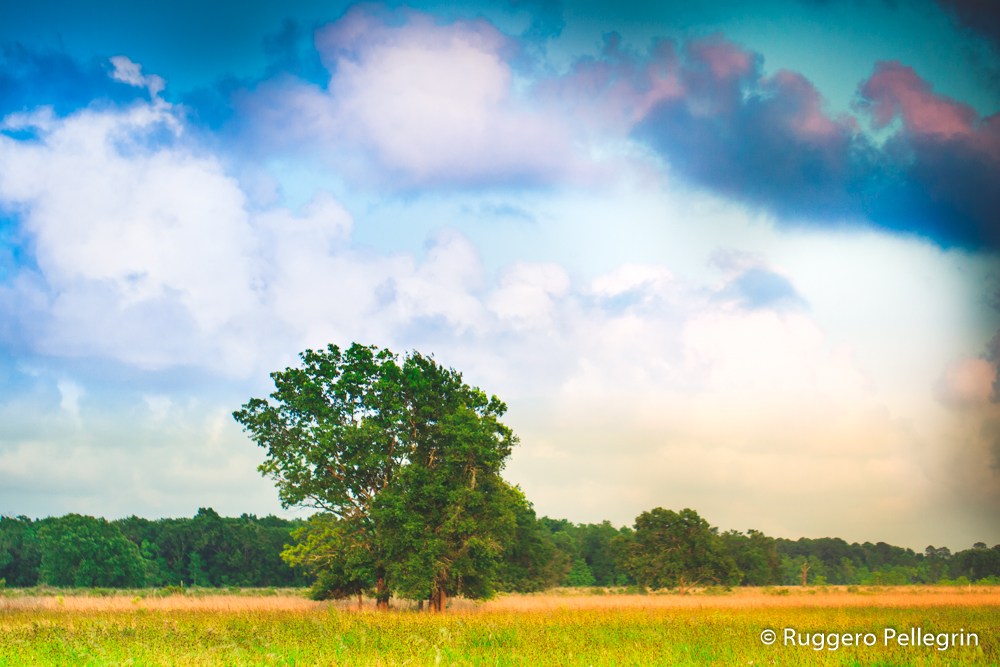 180513_IMG_5456_Luminar2018-edit