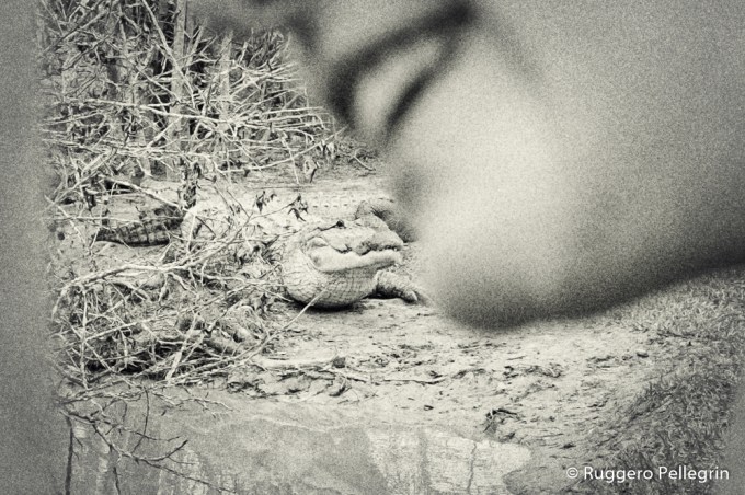 180311_DSCF1688_Luminar2018-edit_0