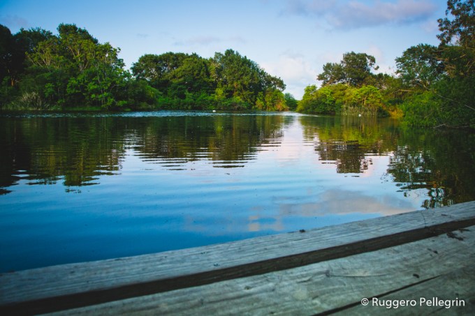 180513_IMG_5434_Luminar2018-edit