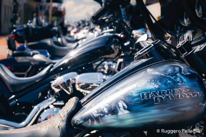 181103_IMG_6340_Luminar2018-edit