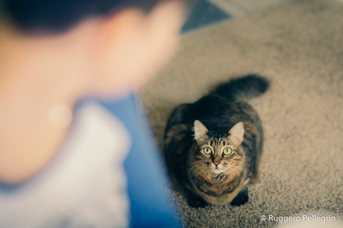 181208_IMG_6802_Luminar2018-edit