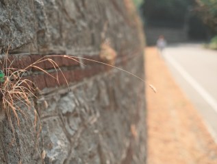 Return to Turin – Summer&nbsp;2024