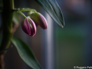 In the Morning 1 – a short photo&nbsp;journey