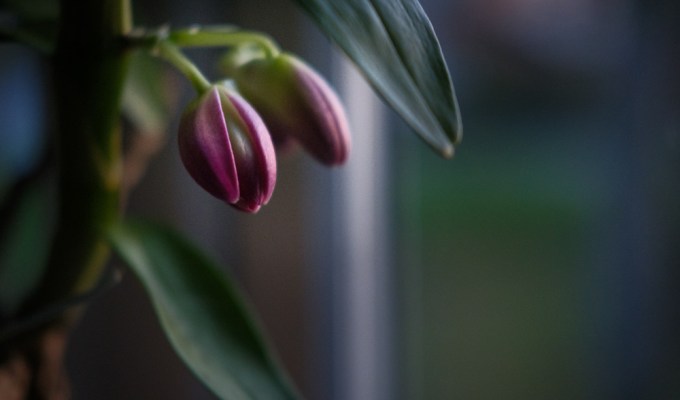 In the Morning 1 – a short photo&nbsp;journey