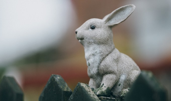 In the Garden, a Rabbit Speaks of England In the Garden, a Rabbit Speaks of England